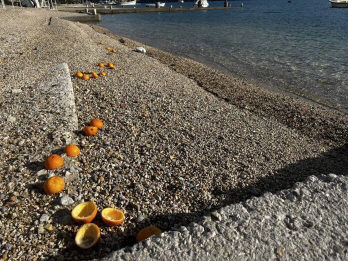 Naranče plaža