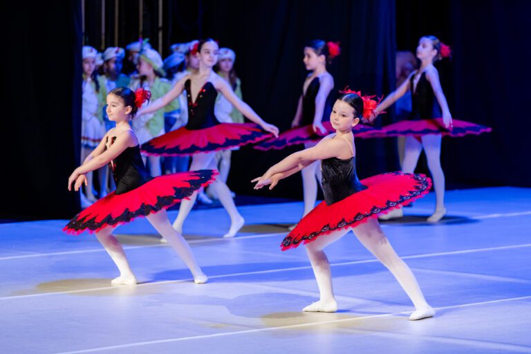 Pobjednička koreografija III Mimosa dance festivala “King of Broadway”