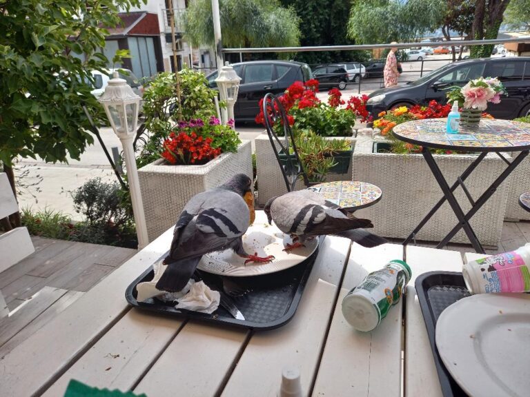 Sezona opet bez dovoljno sezonaca