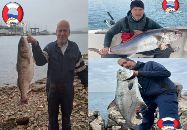Ulov marta:  Brancin od 8,2 kg