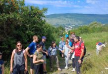 Mnogo jestivog bilja u našem zaleđu, ali malo znanja i brige