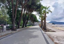 Završnica rekonstrukcije obale u Igalu, posađeno 12 palmi