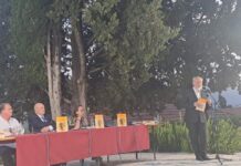 “Palasturine kartoline” čitalačko blago starog i novog Novog