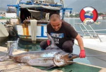 Majski ulov mjeseca sabljarka od 60 kg