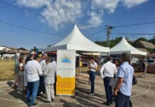 Promocija Herceg Novog na “Banoštorskim danima grožđa”