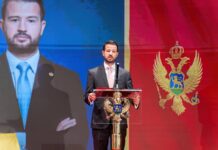 Čestitka predsjednika Crne Gore, Jakova Milatovića: U Herceg Novom stvoriti ambijent za privlačenje investicija Jakov milatovic