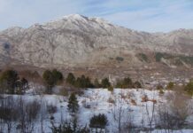 Izazov: Klupska planinarska tura na Baštik (1391 m)