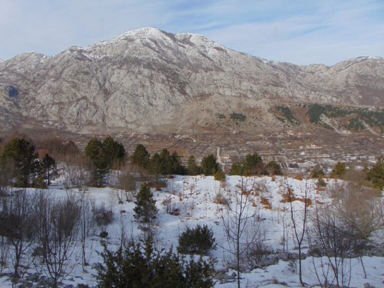 Izazov: Klupska planinarska tura na Baštik (1391 m)