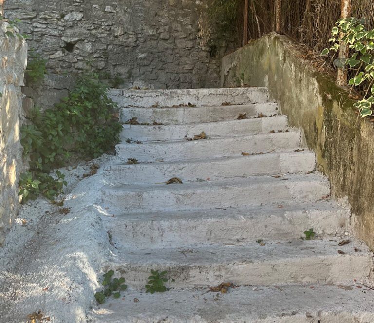 DPS Herceg Novi direktoru Agencije, Kovačeviću: DA-betonirali ste skale!