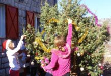 Sjutra svi u planinu na tradicionalno kićenje kleke