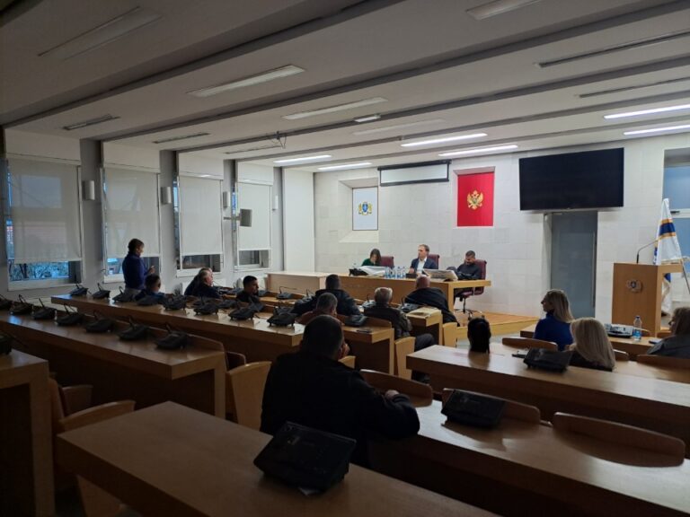 Argumenti građana i zakupaca tezgi protiv spomenika Komnenoviću na pijaci, odluka Skupštine neizvjesna