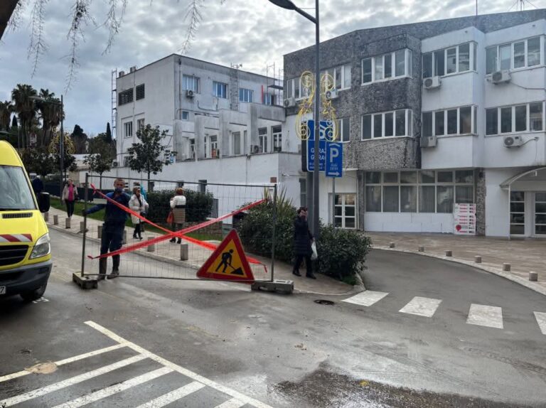 Radovi u Njegoševoj po planiranoj dinamici, od danas zatvorena dionica do Opštine