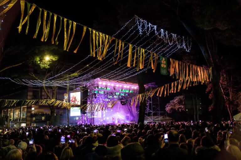 56. Praznik mimoze: Noć za pamćenje uz koncerte regionalnih muzičkih diva i spektakularni maskenbal