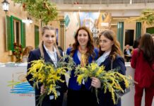 Turistička organizacija Herceg Novi samostalno na sajmu turizma u Beogradu