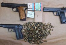 Novljaninu oduzeta tri pištolja u ilegalnom posjedu