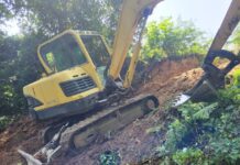 Ekološko društvo Boke kotorske: Savinska dubrava nema pravnu zaštitu