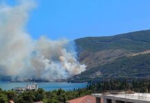 Sud odredio pritvor za mladića osumnjičenog za izazivanje požara u Njivicama