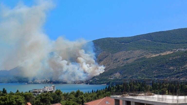 Sud odredio pritvor za mladića osumnjičenog za izazivanje požara u Njivicama