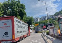 Prvi avgust u znaku ogromnih saobraćajnih gužvi i kolona