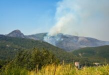 Coca-Cola HBC Srbija i Crna Gora pruža podršku zajednicama pogođenim požarima – donacija od gotovo 50.000 litara proizvoda