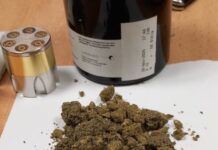 Na Debelom Brijegu lišen slobode državljanin Kosova zbog marihuane u jakni