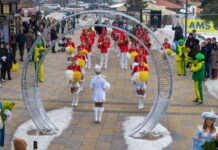 Zlatibor u znaku mimoze: Herceg Novi najavio 57. Praznik mimoze