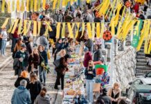 Jubilarna Mala fešta od naranče rekordna po broju učesnika i posjetilaca