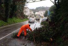 Udari bure do 60 km/h, oborena stabla, fasada, strujni stub…