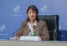 Doklestić: U Herceg Novom veliki projekti se realizuju bez obaveznih procjena uticaja na životnu sredinu