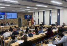 (Ni)je poskupilo parkiranje u Herceg Novom: Sat u „ljubičarstoj zoni“ 1,5-2 eura cijele godine