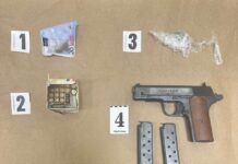 Policija u stanu Novljanke pronašla marihuanu, pištolj i municiju