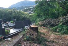 NVO Ekološko društvo Boke kotorske: Sječa stogodišnjeg hrasta u Savinskoj dubravi