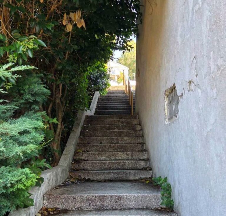 Nije njihovo, ali su očistili prolaz pored “Plaže”
