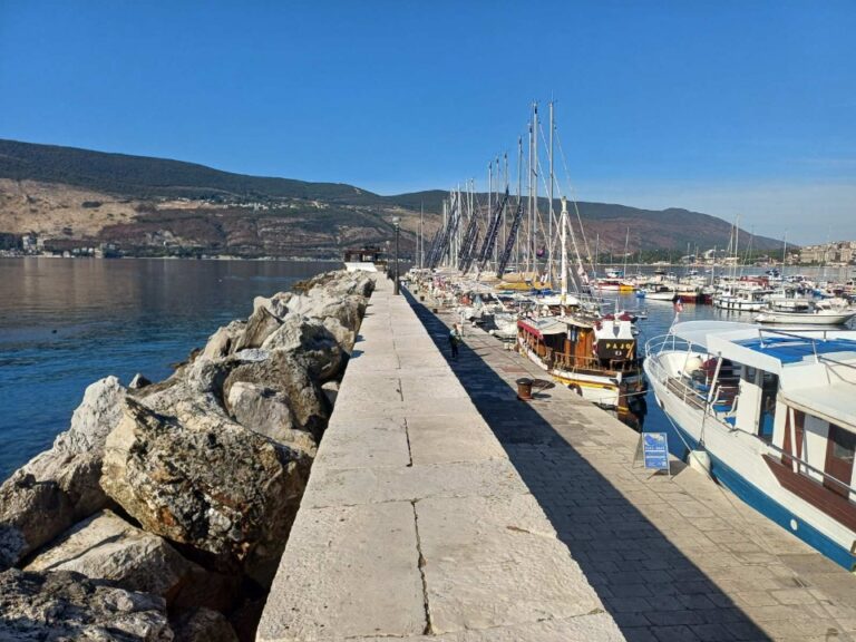 Gradska luka Herceg Novi, čekajući četvrtu Vladu da riješi njen status, uspješno poslovala