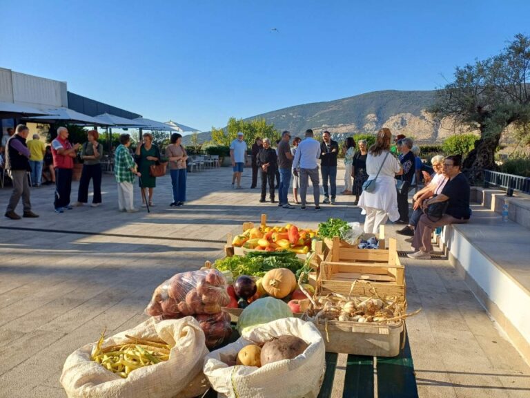Zakupci sa Gradske pijace pred zgradom Opštine: Krivične prijave protiv “Vodovoda”, Komunalno stambenog i Opštine